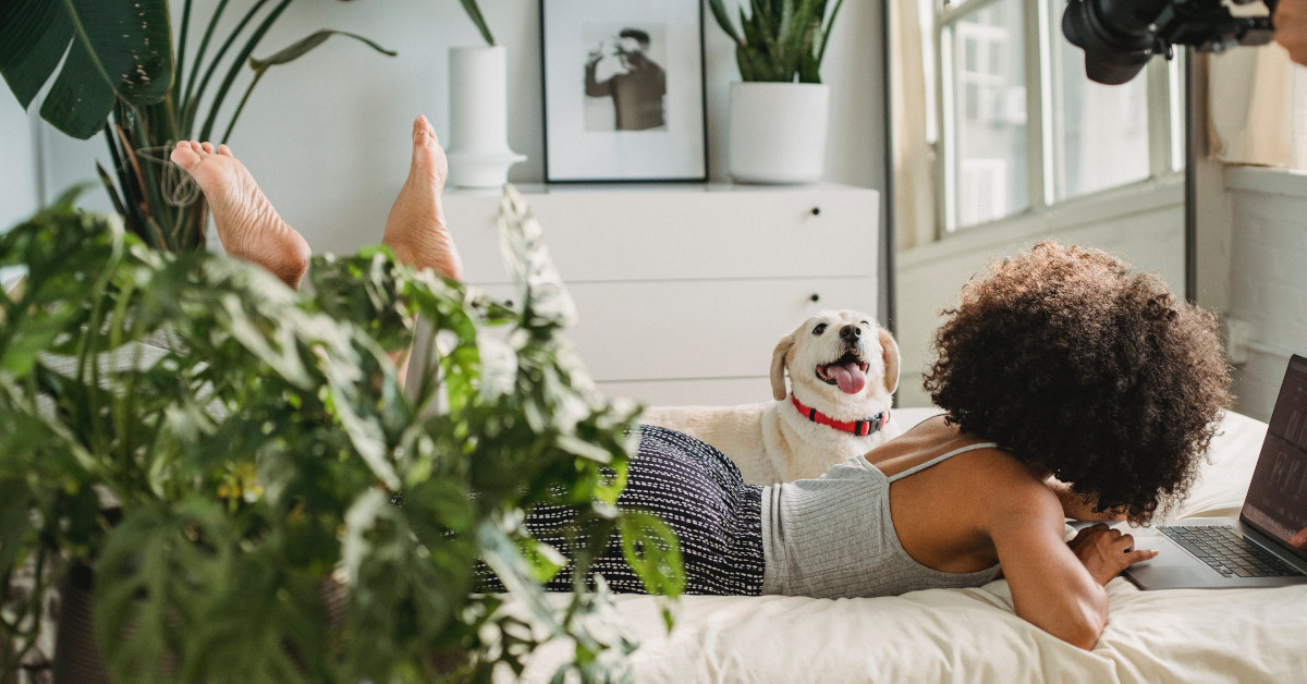 Vase with plant on table with bed in the background