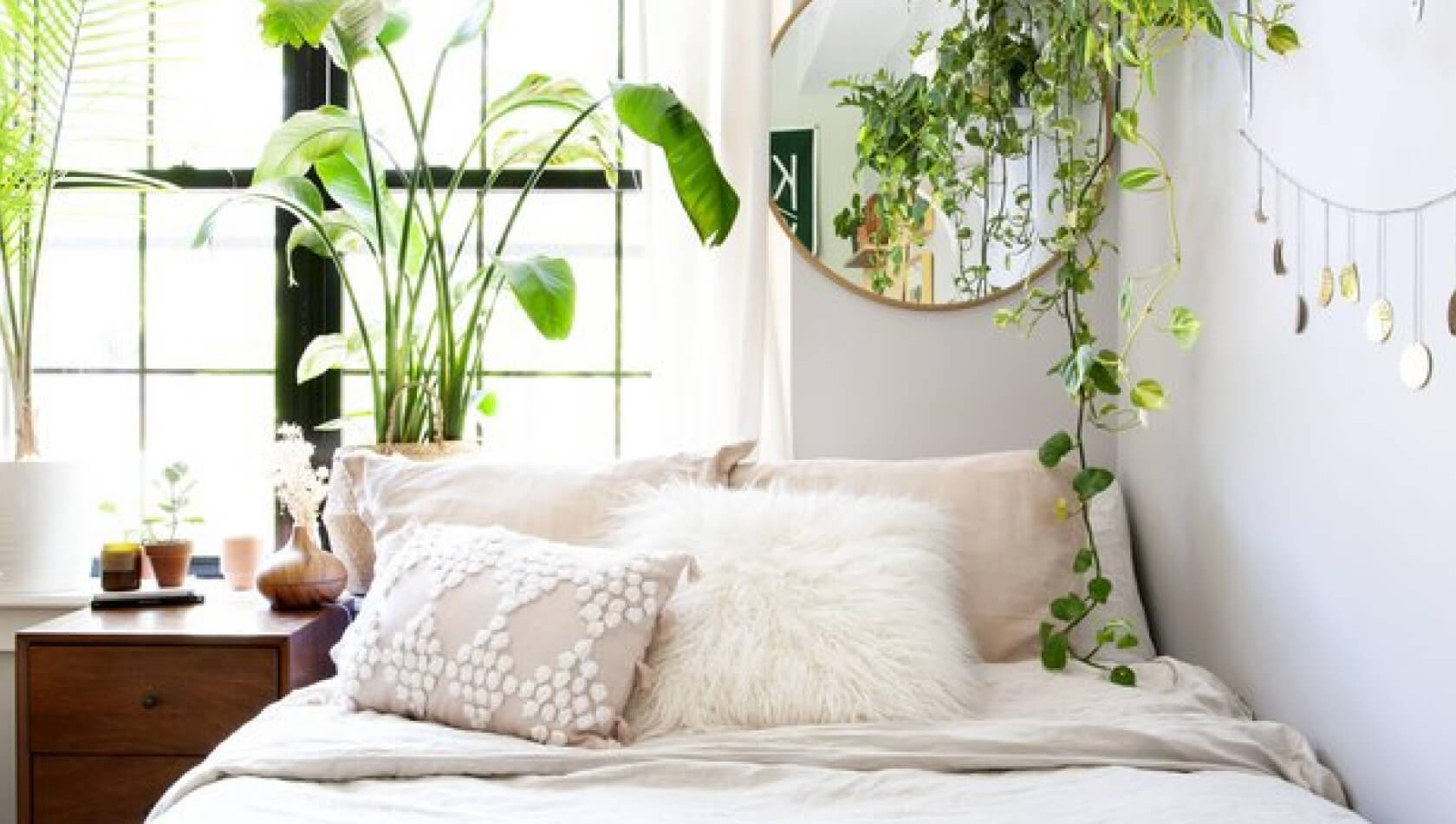 Hanging plants suspended from the ceiling