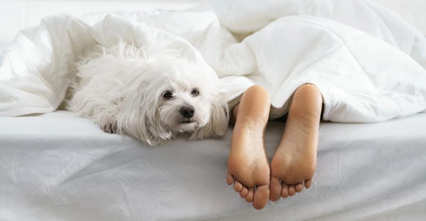 How To Clean Your Mattress – 6 ways to keep your bed fresh