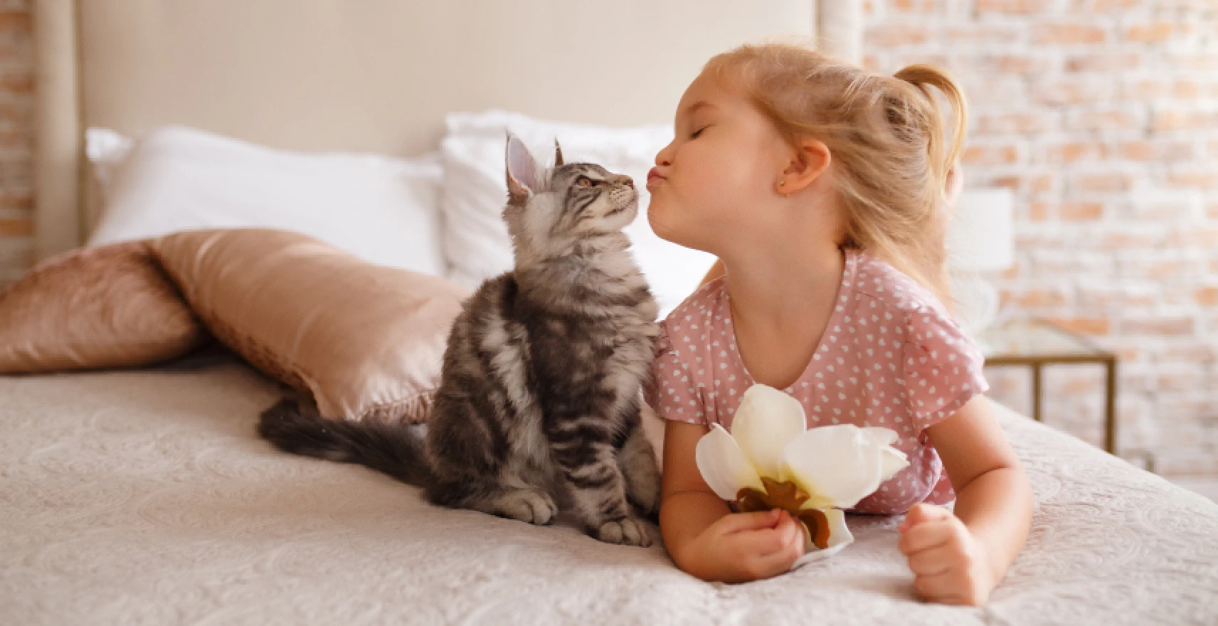 The benefits of sleeping with your pets