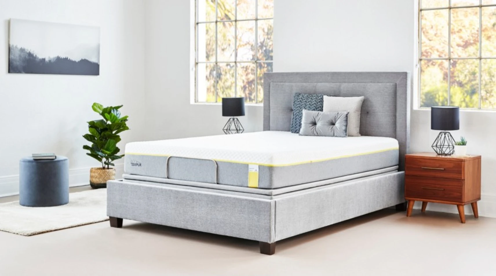 Tempurpedic vs. TEMPUR mattresses
